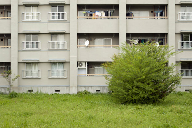 Building + tree